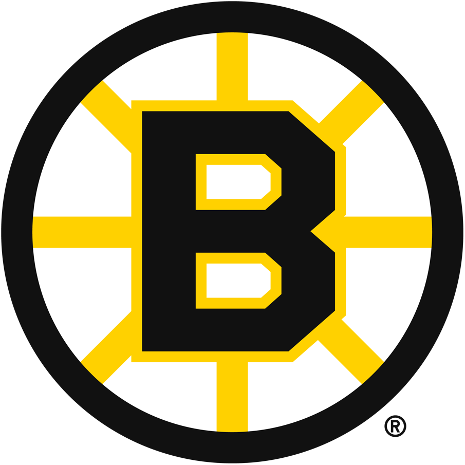 Boston Bruins 1949-1995 Primary Logo fabric transfer